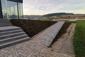 20241026 Außenanlagen